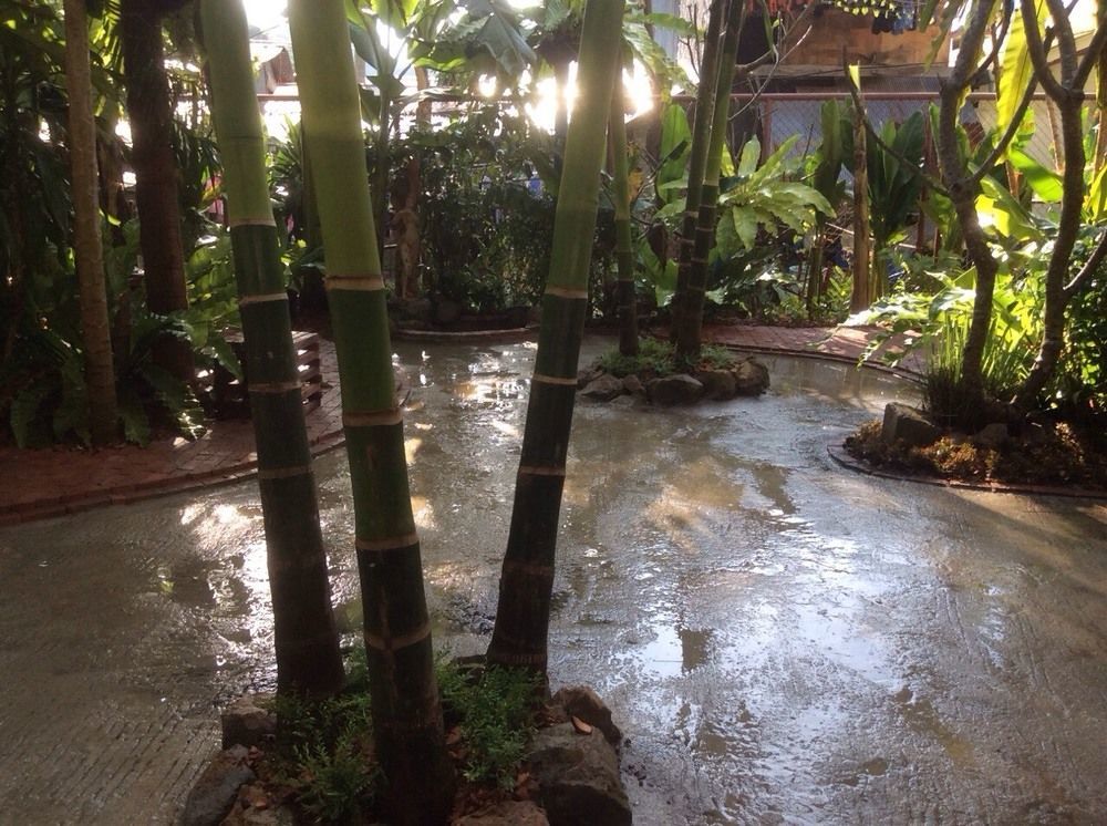 Oyo 585 Freedom Hostel @ Phi Phi מראה חיצוני תמונה
